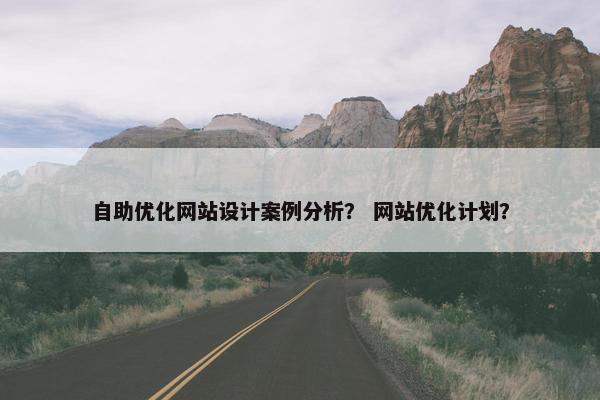自助优化网站设计案例分析？ 网站优化计划？