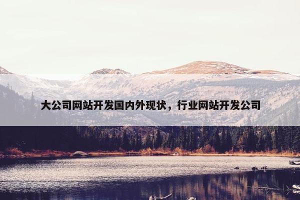 大公司网站开发国内外现状，行业网站开发公司