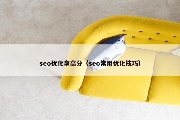 seo优化拿高分（seo常用优化技巧）