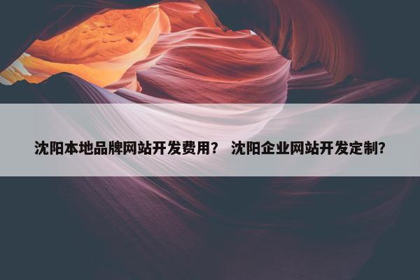 沈阳本地品牌网站开发费用？ 沈阳企业网站开发定制？