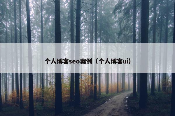 个人博客seo案例（个人博客ui）