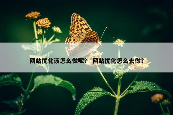 网站优化该怎么做呢？ 网站优化怎么去做？