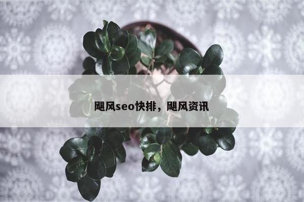 飓风seo快排，飓风资讯