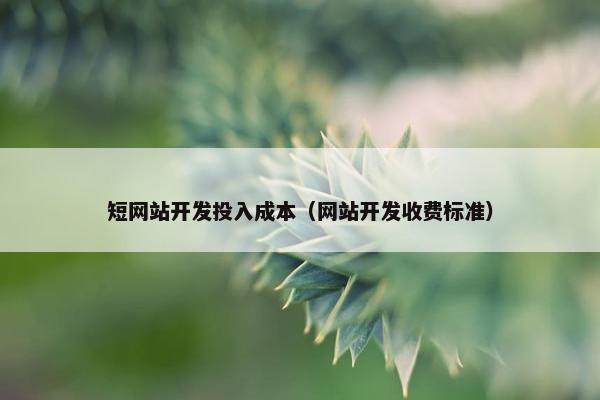 短网站开发投入成本（网站开发收费标准）