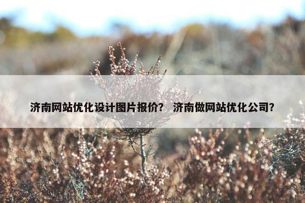 济南网站优化设计图片报价？ 济南做网站优化公司？