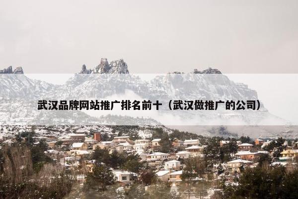 武汉品牌网站推广排名前十（武汉做推广的公司）
