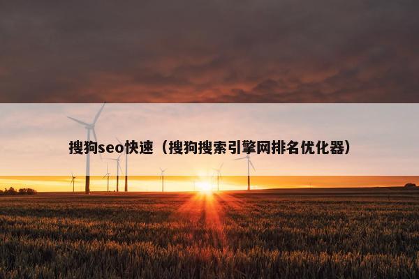 搜狗seo快速（搜狗搜索引擎网排名优化器）