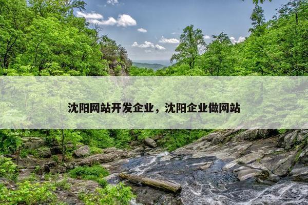 沈阳网站开发企业，沈阳企业做网站