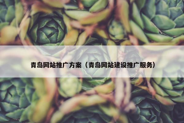 青岛网站推广方案（青岛网站建设推广服务）