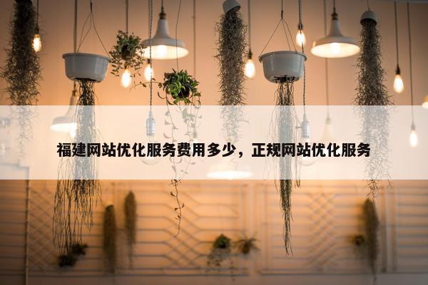 福建网站优化服务费用多少，正规网站优化服务