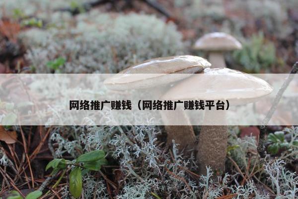 网络推广赚钱（网络推广赚钱平台）