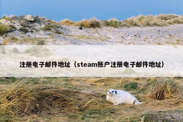 注册电子邮件地址（steam账户注册电子邮件地址）