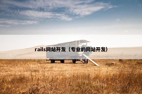 rails网站开发（专业的网站开发）