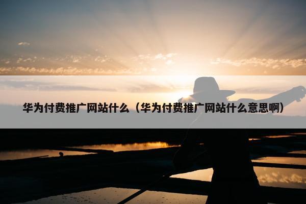华为付费推广网站什么（华为付费推广网站什么意思啊）