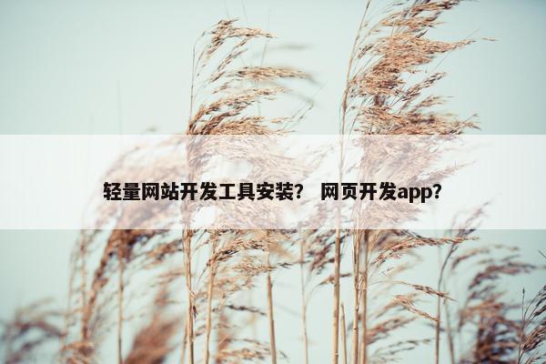 轻量网站开发工具安装？ 网页开发app？