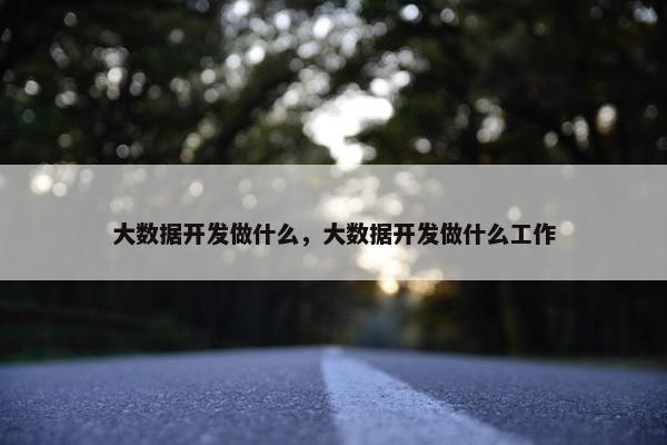 大数据开发做什么，大数据开发做什么工作