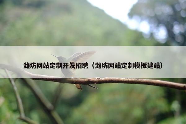 潍坊网站定制开发招聘（潍坊网站定制模板建站）