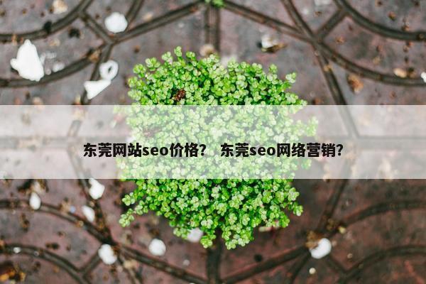 东莞网站seo价格？ 东莞seo网络营销？