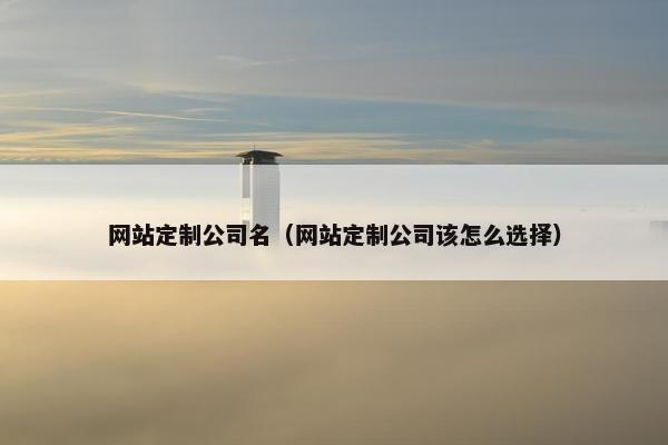 网站定制公司名（网站定制公司该怎么选择）