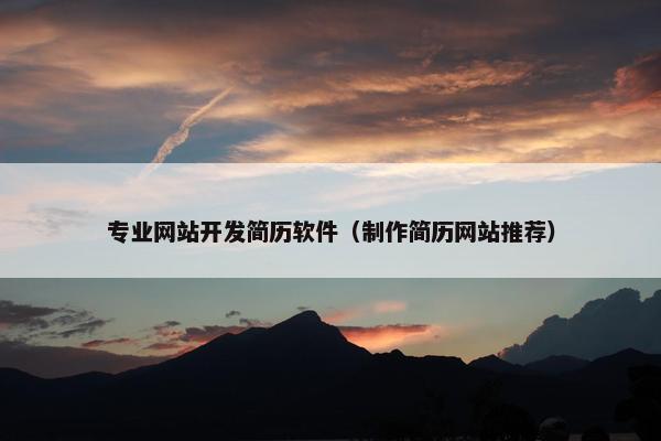 专业网站开发简历软件（制作简历网站推荐）