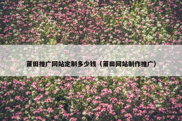 莆田推广网站定制多少钱（莆田网站制作推广）