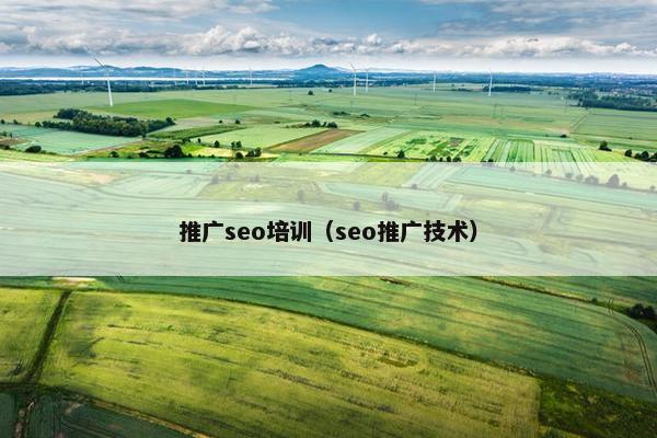 推广seo培训（seo推广技术）