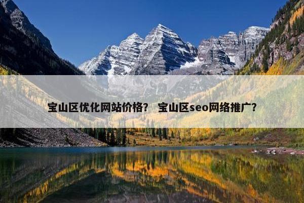 宝山区优化网站价格？ 宝山区seo网络推广？
