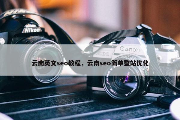 云南英文seo教程，云南seo简单整站优化