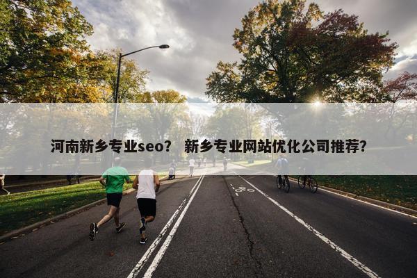 河南新乡专业seo？ 新乡专业网站优化公司推荐？