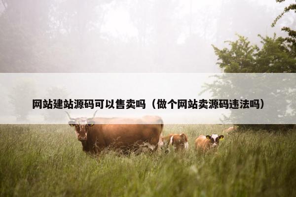 网站建站源码可以售卖吗（做个网站卖源码违法吗）