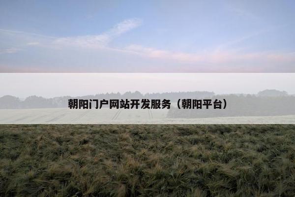 朝阳门户网站开发服务（朝阳平台）