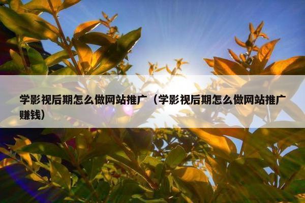 学影视后期怎么做网站推广（学影视后期怎么做网站推广赚钱）