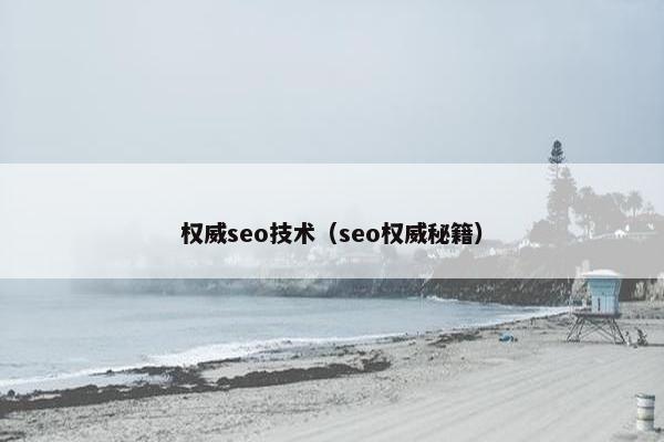 权威seo技术（seo权威秘籍）