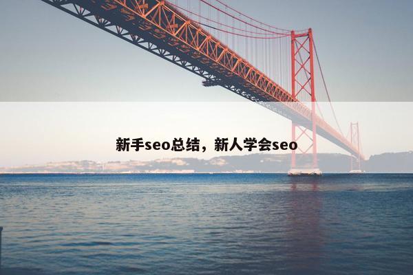 新手seo总结，新人学会seo
