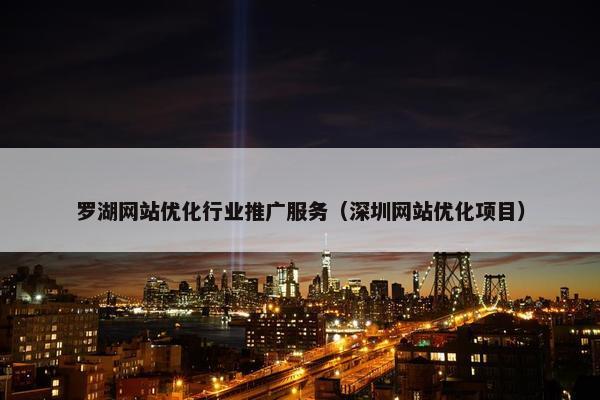 罗湖网站优化行业推广服务（深圳网站优化项目）