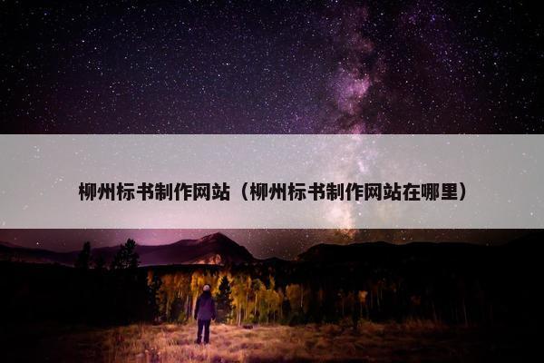 柳州标书制作网站（柳州标书制作网站在哪里）
