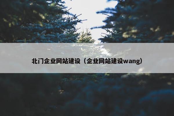 北门企业网站建设（企业网站建设wang）