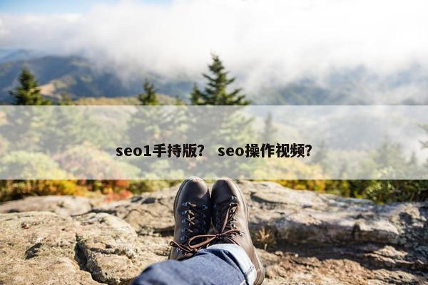 seo1手持版？ seo操作视频？