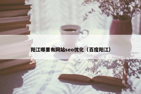 阳江哪里有网站seo优化（百度阳江）