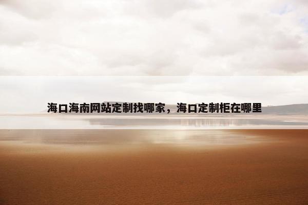 海口海南网站定制找哪家，海口定制柜在哪里