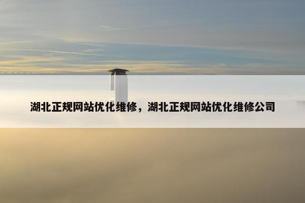 湖北正规网站优化维修，湖北正规网站优化维修公司