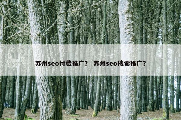 苏州seo付费推广？ 苏州seo搜索推广？
