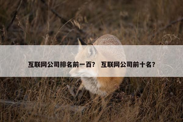 互联网公司排名前一百？ 互联网公司前十名？