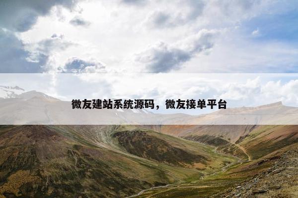 微友建站系统源码，微友接单平台