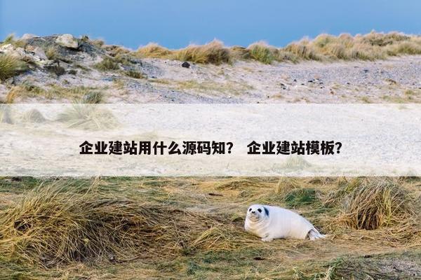 企业建站用什么源码知？ 企业建站模板？