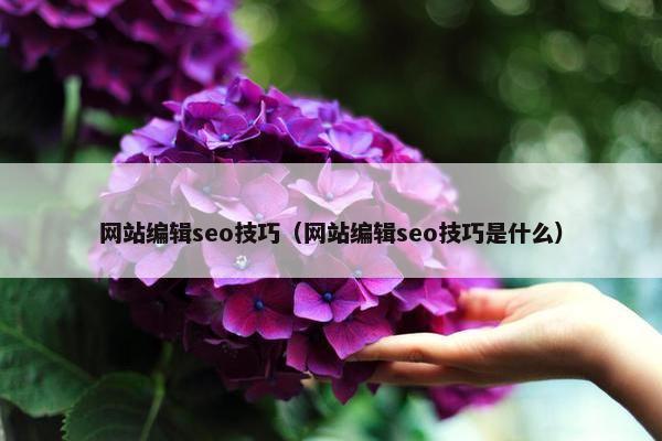 网站编辑seo技巧（网站编辑seo技巧是什么）