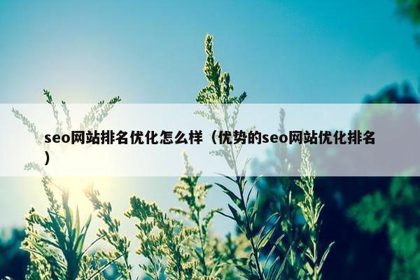 seo网站排名优化怎么样（优势的seo网站优化排名）