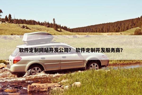 软件定制网站开发公司？ 软件定制开发服务商？