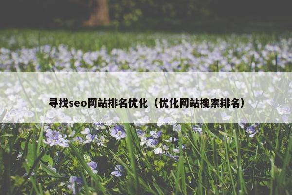 寻找seo网站排名优化（优化网站搜索排名）