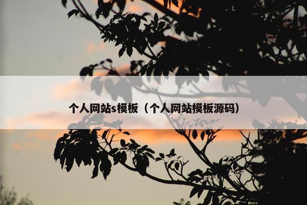 个人网站s模板（个人网站模板源码）